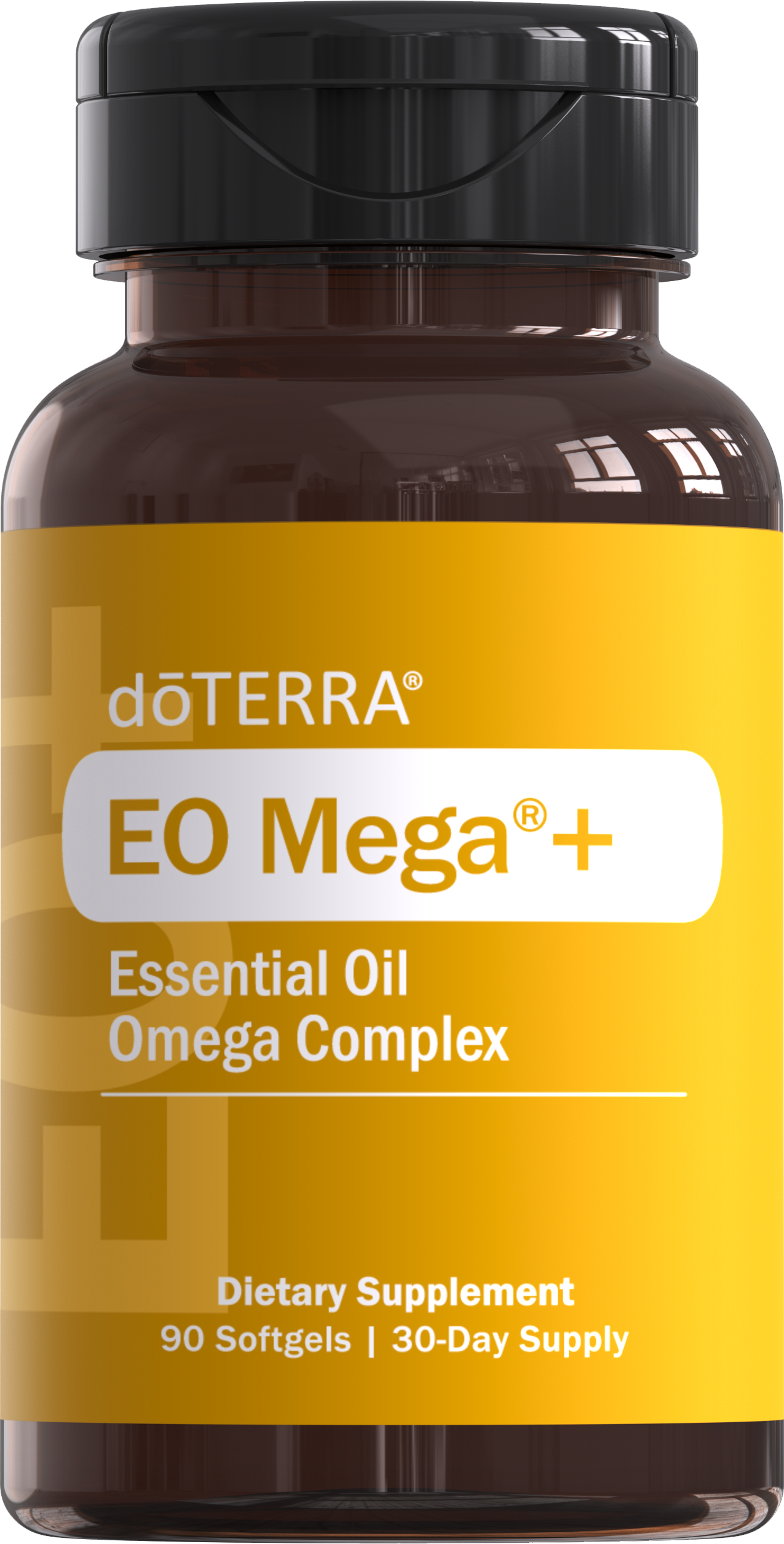 doTERRA 2024 Product Launch — HOL:FIT